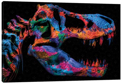 Painted T-Rex Canvas Art Print - Dinosaur Art