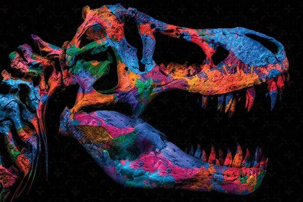 Fossils