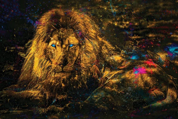 Lions: Blue Eyes by Jesse Johnson