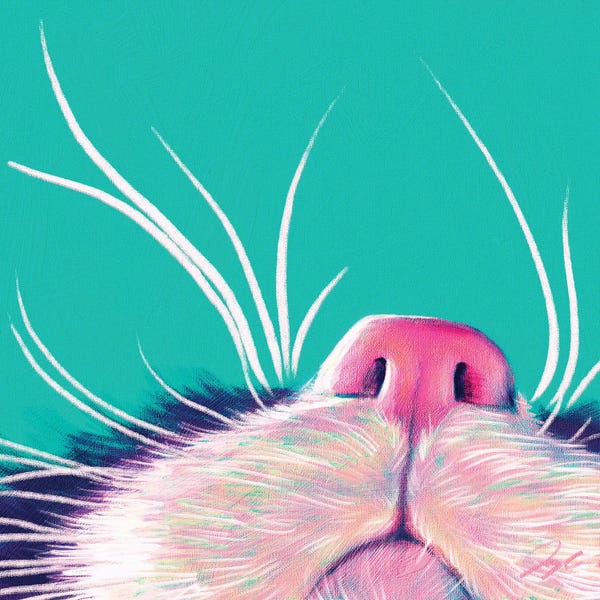 Boop