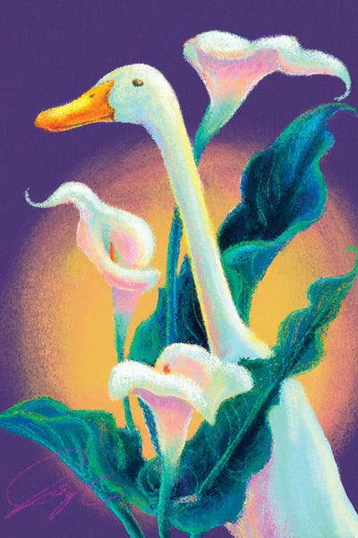 Calla Runner