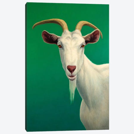 Portrait of A Goat Canvas Print #JJN33} by James W. Johnson Canvas Art Print