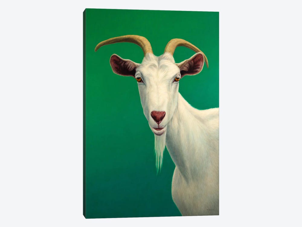 Portrait of A Goat by James W. Johnson 1-piece Art Print