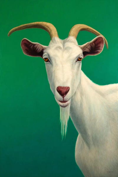 Goats: Portrait of A Goat by James W. Johnson