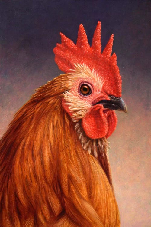 Rooster by James W. Johnson wall art