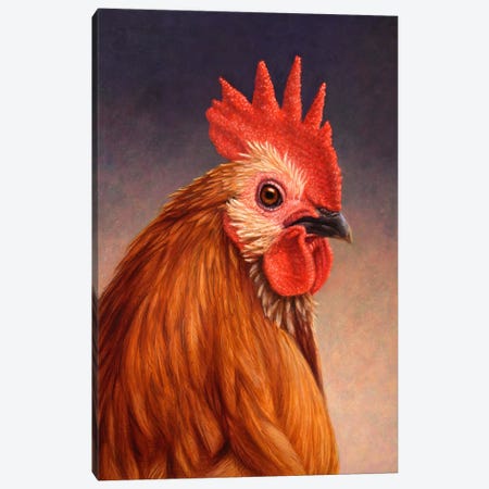 Rooster Canvas Print #JJN37} by James W. Johnson Canvas Art