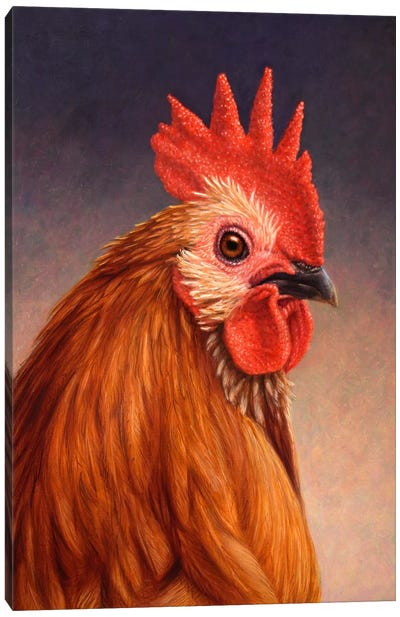 Rooster Canvas Art Print - James W Johnson