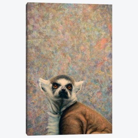Lemur Canvas Print #JJN58} by James W. Johnson Art Print