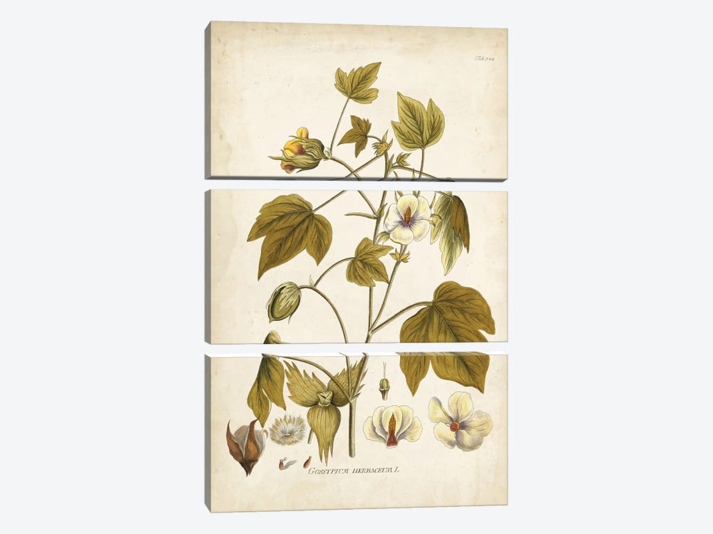 Elegant Botanical I 3-piece Canvas Art Print