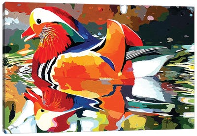 Mandarin Glide Canvas Art Print - Duck Art
