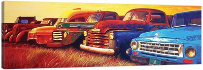 Out To Pasture Canvas Art Print - John Jaster