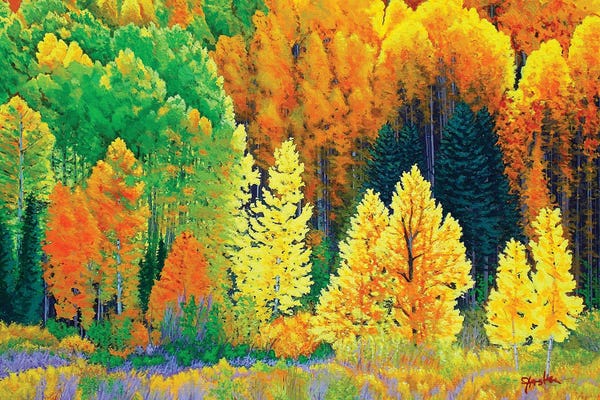 Lakehouse Décor: Sunlight Ballet by John Jaster