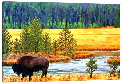Into The Silence Canvas Art Print - Bison & Buffalo Art