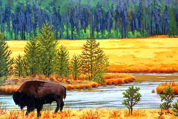 Bison & Buffaloes: Into The Silence by John Jaster
