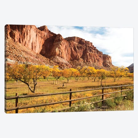 Mormon Pioneer Fruit Orchard Along Waterpocket Fold, Capitol Reef National Park, Utah, USA Canvas Print #JJW10} by Jamie & Judy Wild Canvas Wall Art