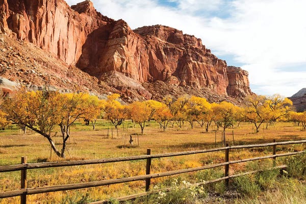 Utah: Mormon Pioneer Fruit Orchard Along Waterpocket Fold, Capitol Reef National Park, Utah, USA by Jamie & Judy Wild