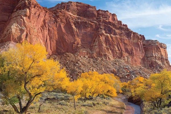 Utah: Waterpocket Fold And Sulphur Creek, Capitol Reef National Park, Utah, USA by Jamie & Judy Wild