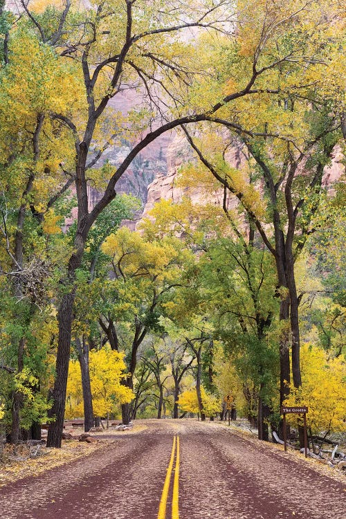 The Grotto Stop, Zion Canyon Scenic Drive (Floor Of The Valley Road), Zion National Park, Utah, USA