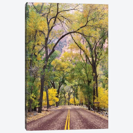 The Grotto Stop, Zion Canyon Scenic Drive (Floor Of The Valley Road), Zion National Park, Utah, USA Canvas Print #JJW12} by Jamie & Judy Wild Canvas Wall Art