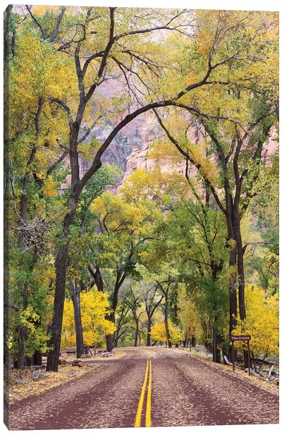 The Grotto Stop, Zion Canyon Scenic Drive (Floor Of The Valley Road), Zion National Park, Utah, USA Canvas Art Print