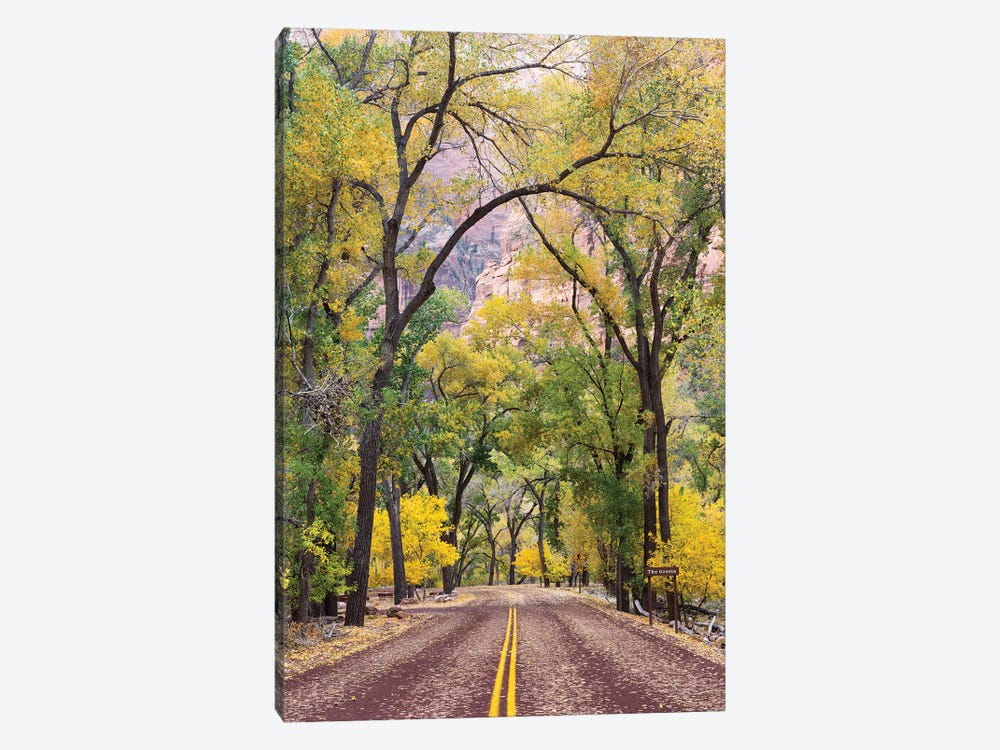 The Grotto Stop, Zion Canyon Scenic Drive (Floor Of The Valley Road), Zion National Park, Utah, USA by Jamie & Judy Wild 1-piece Art Print