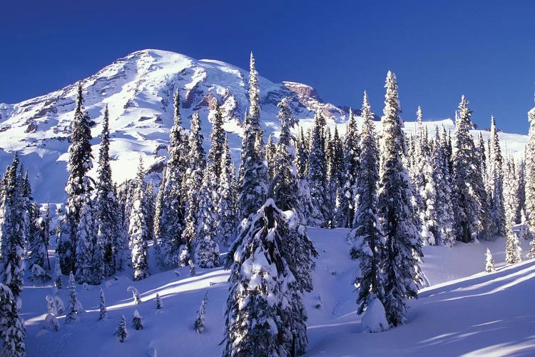 Snow-Covered Mountain Landscape, Mount Rainier National Park, Washington, USA