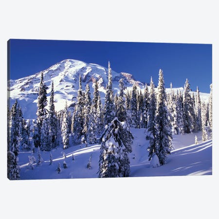Snow-Covered Mountain Landscape, Mount Rainier National Park, Washington, USA Canvas Print #JJW13} by Jamie & Judy Wild Canvas Wall Art
