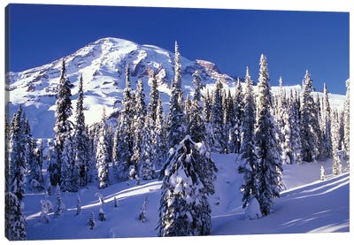 Snow-Covered Mountain Landscape, Mount Rainier National Park, Washington, USA Canvas Art Print - Cascade Range Art