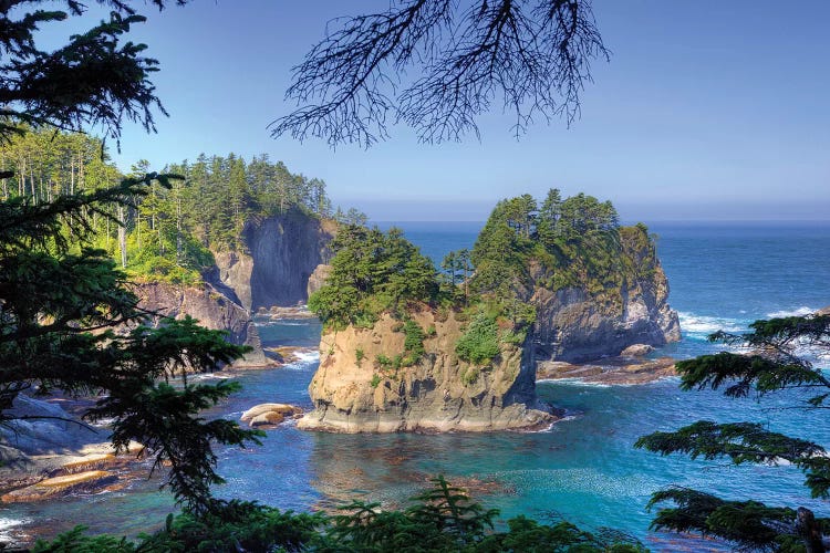 Coastal Landscape, Cape Flattery, Olympic Peninsula, Makah Reservation, 