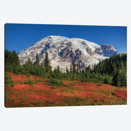 Snow-Covered Mount Rainier With An Autumn Landscape In The Foreground, Mount Rainier National Park, Washington, USA Canvas Print #JJW17} by Jamie & Judy Wild Canvas Print