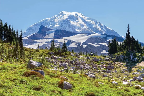 Evergreen Trees: Snow-Covered Mount Rainier As Seen From Seattle Park, Mount Rainier National Park, Washington, USA by Jamie & Judy Wild