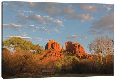Arizona, Sedona, Crescent Moon Recreation Area, Red Rock Crossing, Cathedral Rock Canvas Art Print - Sedona