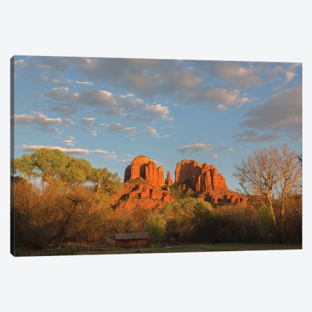 Arizona, Sedona, Crescent Moon Recreation Area, Red Rock Crossing, Cathedral Rock Canvas Print #JJW23} by Jamie & Judy Wild Canvas Print