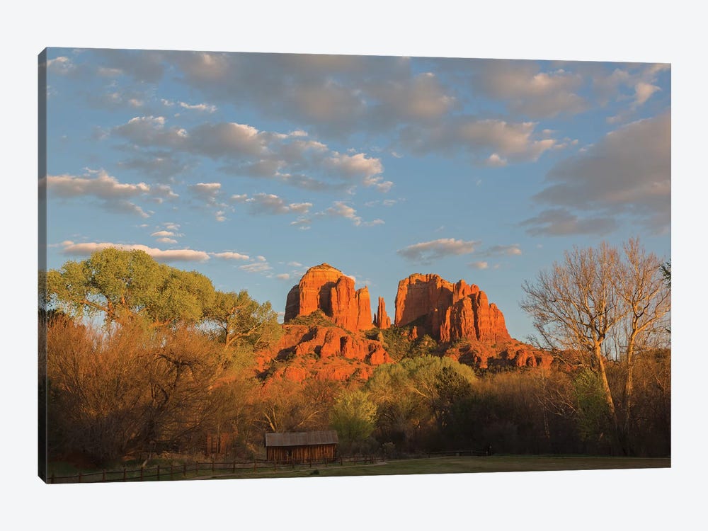 Arizona, Sedona, Crescent Moon Recreation Area, Red Rock Crossing, Cathedral Rock by Jamie & Judy Wild 1-piece Canvas Print