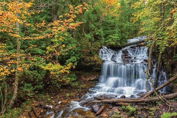Michigan: Michigan, Munising. Wagner Falls by Jamie & Judy Wild