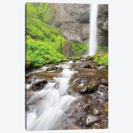 Oregon, Columbia River Gorge National Scenic Area, Latourell Creek and Falls Canvas Print #JJW31} by Jamie & Judy Wild Canvas Artwork