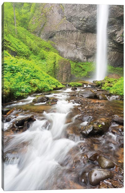 Oregon, Columbia River Gorge National Scenic Area, Latourell Creek and Falls Canvas Art Print - Jamie & Judy Wild