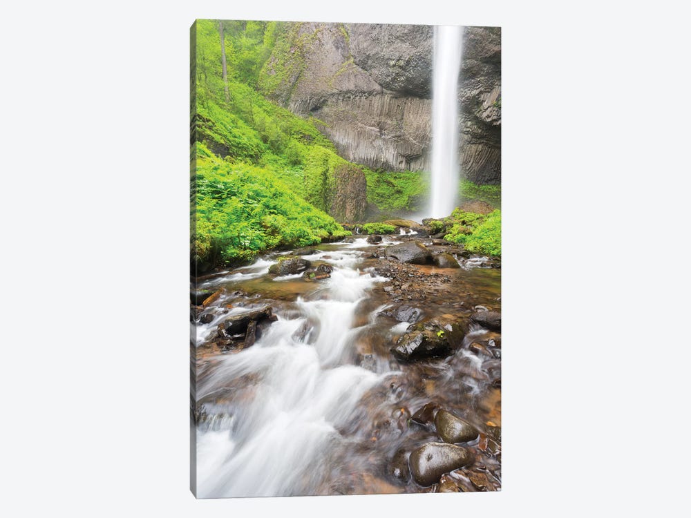 Oregon, Columbia River Gorge National Scenic Area, Latourell Creek and Falls by Jamie & Judy Wild 1-piece Canvas Artwork