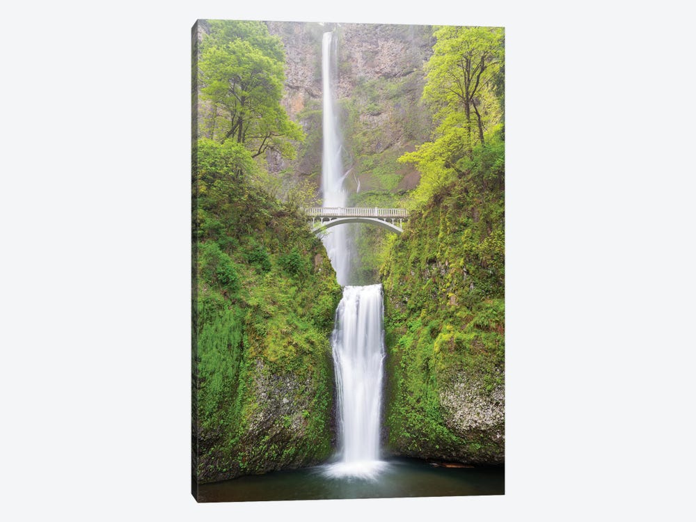 Oregon, Columbia River Gorge National Scenic Area, Multnomah Falls by Jamie & Judy Wild 1-piece Art Print