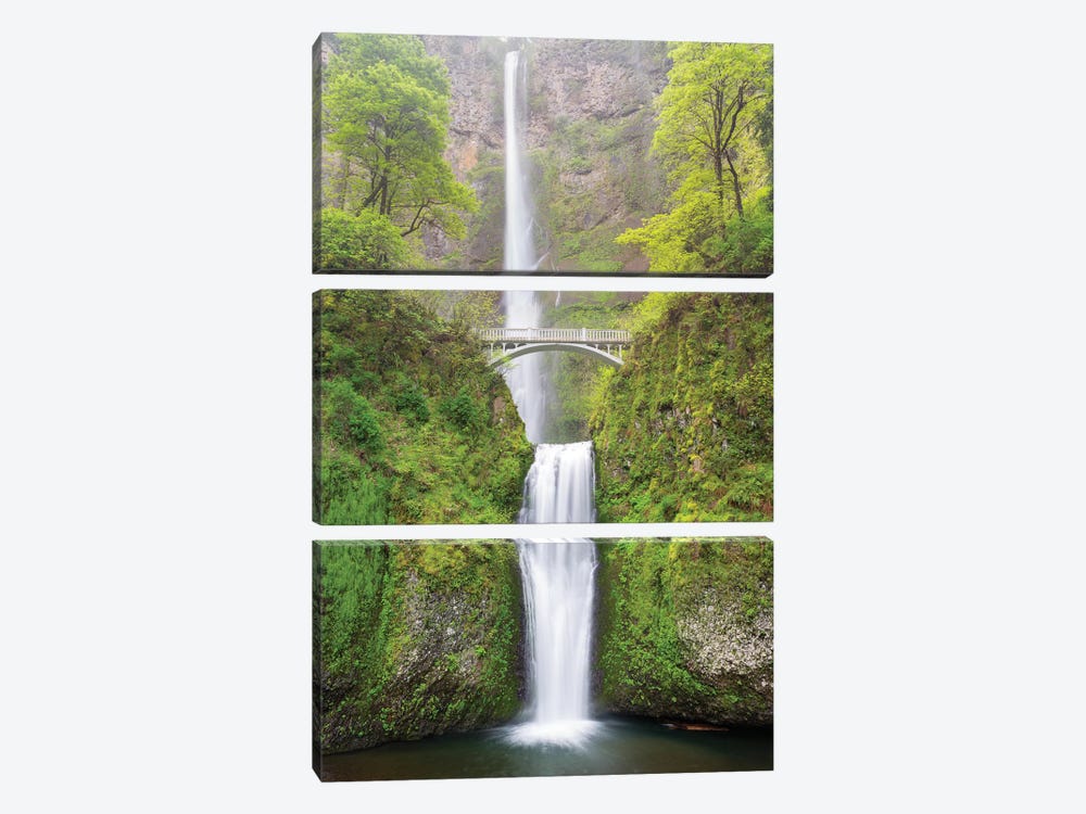 Oregon, Columbia River Gorge National Scenic Area, Multnomah Falls by Jamie & Judy Wild 3-piece Art Print
