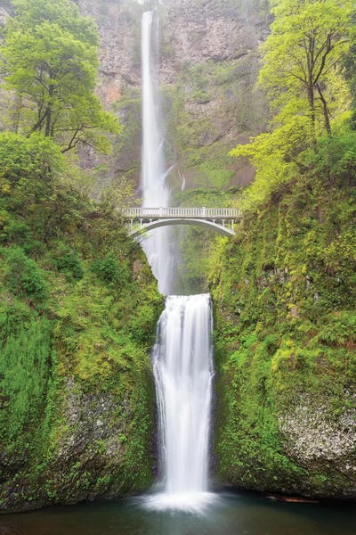 Jamie & Judy Wild: Multnomah Falls, Oregon, Columbia River Gorge National Scenic Area by Jamie & Judy Wild