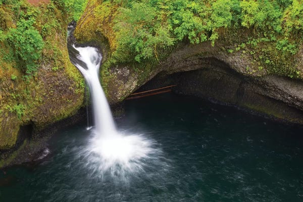 Oregon: Oregon, Columbia River Gorge National Scenic Area, Punch Bowl Falls by Jamie & Judy Wild