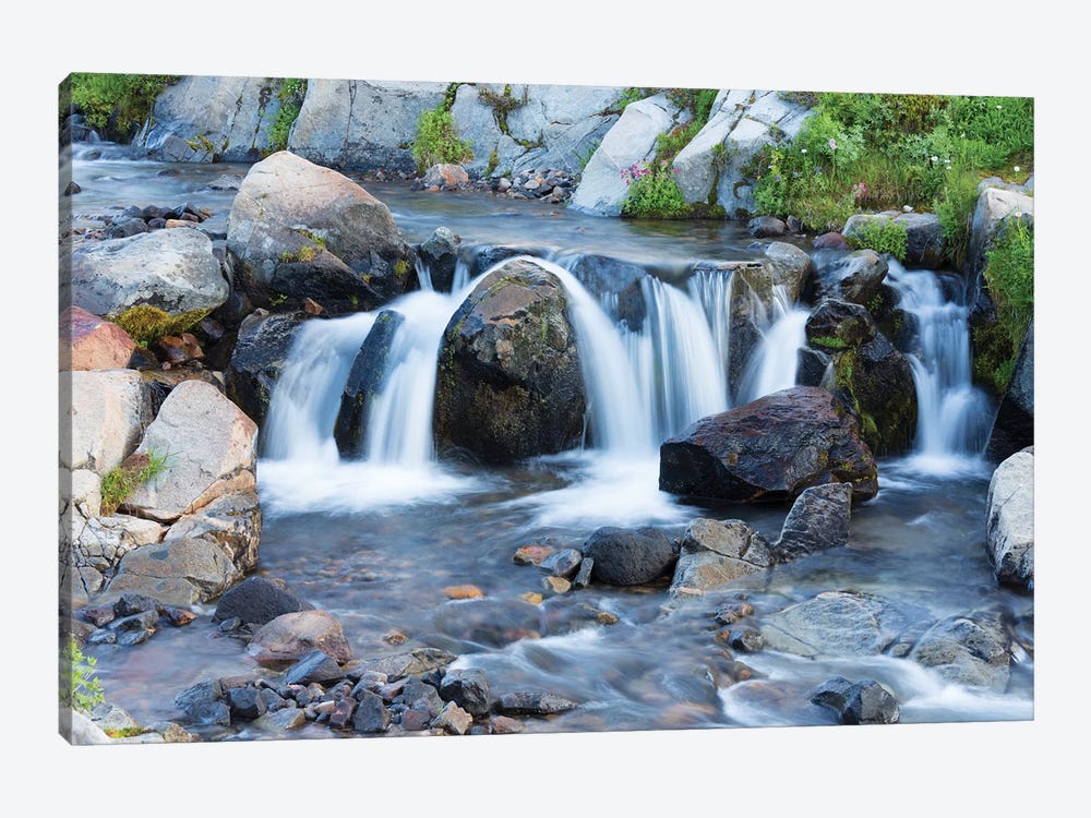Washington State, Mount Rainier National Park, Edith Creek by Jamie & Judy Wild 1-piece Canvas Art