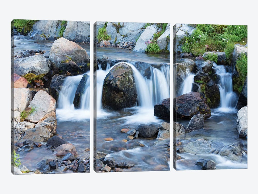 Washington State, Mount Rainier National Park, Edith Creek by Jamie & Judy Wild 3-piece Canvas Artwork