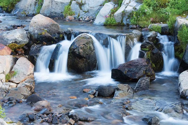 Mount Rainier National Park: Edith Creek. Washington State, Mount Rainier National Park. by Jamie & Judy Wild
