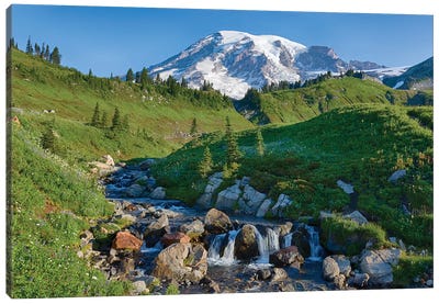Washington State, Mount Rainier National Park, Edith Creek and Mount Rainier Canvas Art Print - Mount Rainier Art
