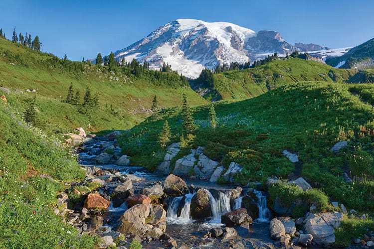 Washington State, Mount Rainier National Park, Edith Creek and Mount Rainier