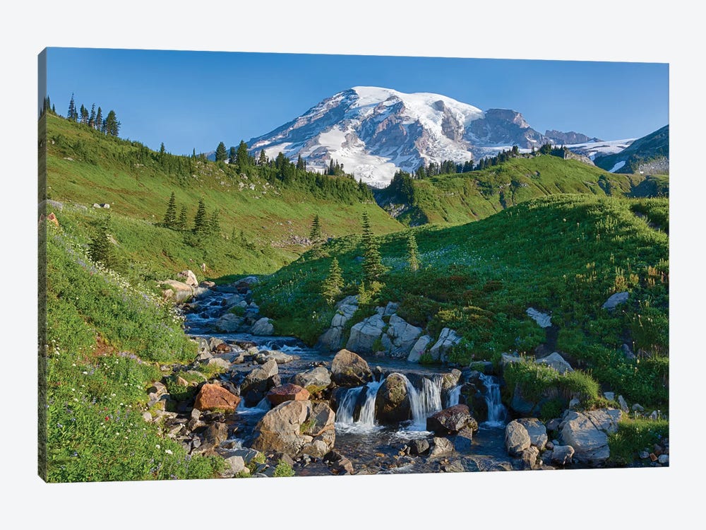 Washington State, Mount Rainier National Park, Edith Creek and Mount Rainier by Jamie & Judy Wild 1-piece Canvas Art Print