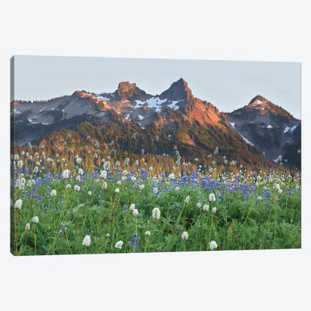 Washington State, Mount Rainier National Park, Tatoosh Range and Wildflowers Canvas Print #JJW37} by Jamie & Judy Wild Art Print