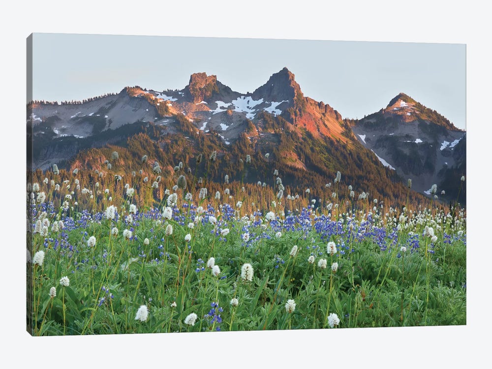 Washington State, Mount Rainier National Park, Tatoosh Range and Wildflowers 1-piece Canvas Artwork
